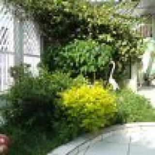 Guarulhos: Vendo Linda Casa t&eacute;rrea em guarulhos Santa Mena 2