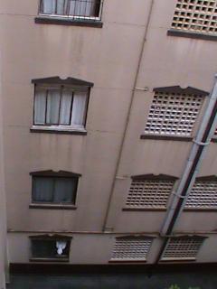 S&atilde;o Paulo: Apartamento Jd. S&atilde;o Sav&eacute;rio  8
