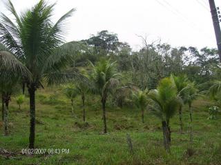 Duque de Caxias: Agradável Sítio em Xerém 7