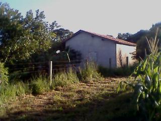 Araçoiaba da Serra: linda chacara 3