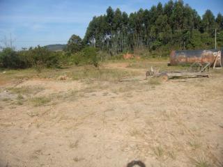 Penha: Terreno em Sta Catarina Balneário Penha / Piçarras 4