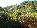 Cambu&iacute;: terreno para s&iacute;tio ou planta&ccedil;&atilde;o