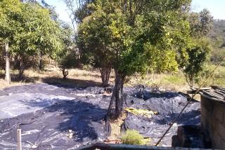 Divin&oacute;polis: ch&aacute;cara em mons. jo&atilde;o alexandre 7