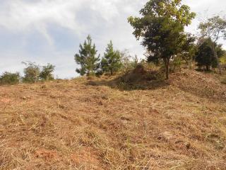 Santa Isabel:  Lote 9 Quadra 46 Estrada Ouro Fino km 11,2 Residencial Terras Altas 3