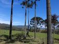 Lages: Lindo Terreno 