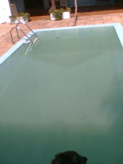 Mongaguá: casa com piscina 2