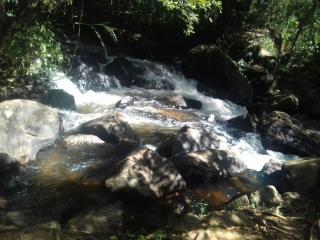 Piracaia: Sitio com &Aacute;rea de 168 mil m&sup2; (7 alqueires) 3