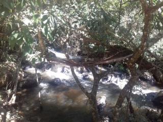 Piracaia: Sitio com &Aacute;rea de 168 mil m&sup2; (7 alqueires) 6