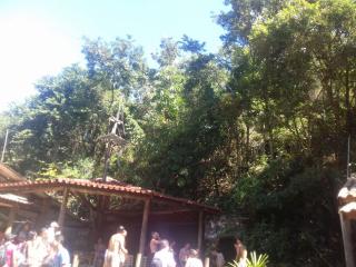 Piracaia: Sitio com &Aacute;rea de 168 mil m&sup2; (7 alqueires) 7