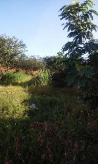 foto - Aparecida de Goiânia - Buriti Sereno