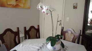 Curitiba: Excelente apartamento Vila izabel 3