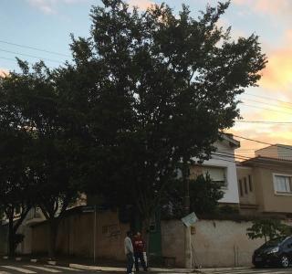 S&atilde;o Paulo: Excelente sobrado, muito ensolarado, &oacute;tima localiza&ccedil;&atilde;o! Para quem quer morar no Planalto Paulista 3