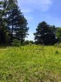 Viam&atilde;o: Excelente investimento - terreno 3600 M2