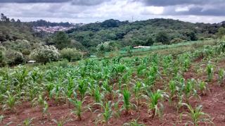 Itapecerica da Serra: Belo Terreno com Linda Vista Excelente Negócio Área Nobre 1