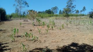 Itapecerica da Serra: Belo Terreno com Linda Vista Excelente Negócio Área Nobre 6