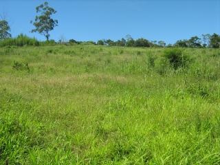 Itapecerica da Serra: Belo Terreno com Linda Vista Excelente Negócio Área Nobre 8