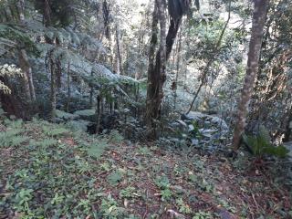 Itapecerica da Serra: Terreno em Itapecerica da Serra - SP 1