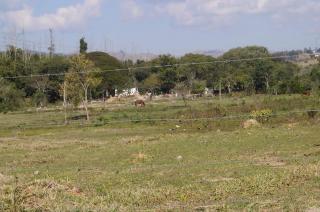 Taubat&eacute;: TERRENO PLANO 1200 M2 BONITO E BARATO 3