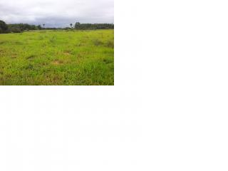 Viam&atilde;o: Chacrinha em &Aacute;guas Claras 65.000,00 4