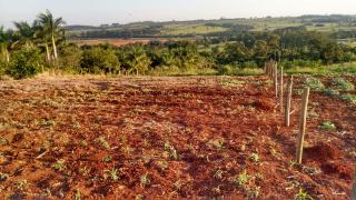 Cesário Lange: Terreno no interior, vista pra Castello Branco, 6.000m², Cesário Lange. Sítio / chácara 2