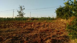 Cesário Lange: Terreno no interior, vista pra Castello Branco, 6.000m², Cesário Lange. Sítio / chácara 4