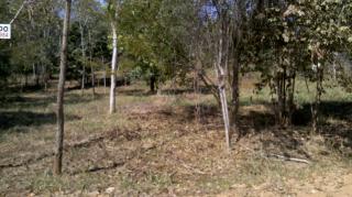 Lagoa Santa: Excelente Lote Condom&iacute;nio Condados da Lagoa 1000m2 6