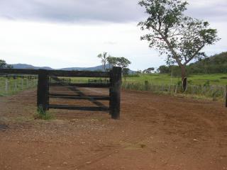 Porto Murtinho: Fazenda em Porto Murtinho-MS 3