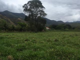 Miguel Pereira: Terrenos em retiro agrícola 4