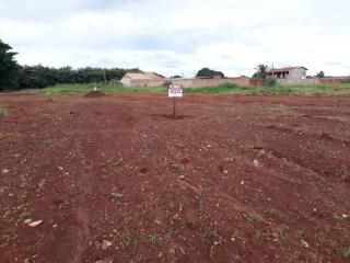 Campo Grande: LOTES 12,5x20 1
