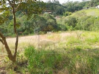 Ibi&uacute;na: Terreno em Ibi&uacute;na, &oacute;timo valor; com nascente. 3