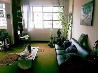 Rio de Janeiro: Apartamento amplo, vista indevass&aacute;vel 4