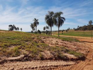 Paranapanema: Terreno em Paranapanema 7