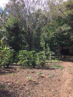 Itapira: Lindo s&iacute;tio rico em &aacute;gua direto com o propriet&aacute;rio 7