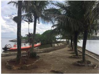 S&atilde;o Francisco do Sul: Linda Ilha em S&atilde;o Francisco do Sul 6