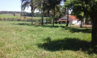 Valentim Gentil: Vende-se Ch&aacute;cara de 22.900 m&sup2; (2,29ha) na cidade de Valentim Gentil-SP 6