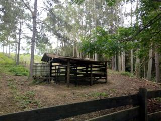 Tijucas: LINDO S&Iacute;TIO PARA VOC&Ecirc; E SUA FAM&Iacute;LIA EM SANTA CATARINA 7
