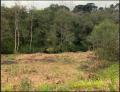 Mafra: Terreno Industrial