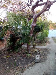 Campinas: Casa Agrad&aacute;vel 7