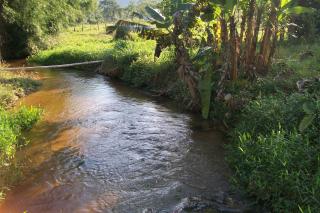 Juquiá: Venda Sítio em Juquiá no Vale do Ribeira 8