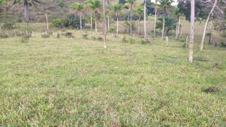 Eunápolis: Fazenda em Guaratinga. 174 hectares 3