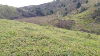Eunápolis: Fazenda em Guaratinga. 174 hectares 6