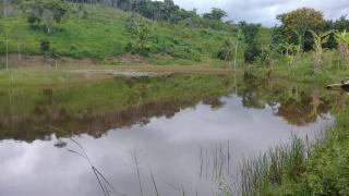 Eun&aacute;polis: Fazenda em Una. 175  hectares. Oportunidade! 1