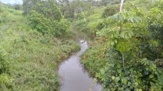 Eun&aacute;polis: Fazenda em Una. 175  hectares. Oportunidade! 2