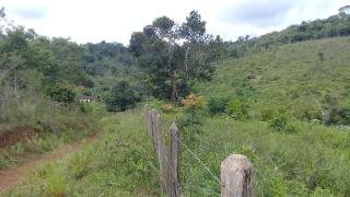 Eun&aacute;polis: Fazenda em Una. 175  hectares. Oportunidade! 4