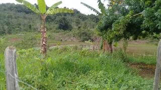 Eun&aacute;polis: Fazenda em Una. 175  hectares. Oportunidade! 6