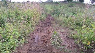 Eunápolis: Fazenda de 480 hectares em Guaratinga 8