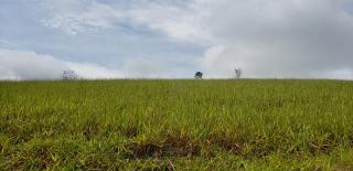 Eunápolis: Fazenda em Itamaraju. . A 100 km. Jucuruçu. 3