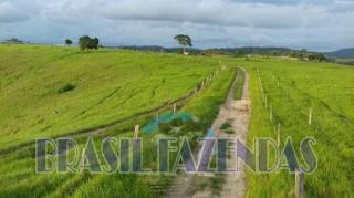 Eun&aacute;polis: Fazenda em Itamaraju. 851 hectares 6