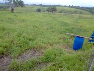 Eun&aacute;polis: Fazenda em Tancredo Neves.  163 hectares. 6