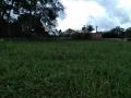 Goianira: Lote quitado 360mt